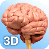 Brain Anatomy Pro. Apk