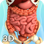 Digestive System Anatomy Apk