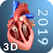 Heart Anatomy Pro. Apk