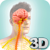 Nervous System Anatomy Pro. Apk