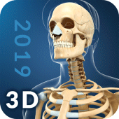 My Skeleton Anatomy Apk