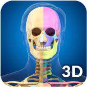 Skeleton Anatomy Pro. Apk