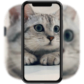 3D Cute Cat Live Wallpaper Apk