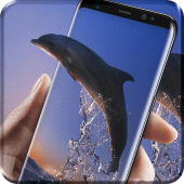 Lovely Dolphin Live Wallpaper Apk