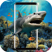 3D Shark in the Live Wallpaper Apk