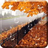 Maple Drops Live Wallpaper Apk