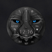 W-Design WOS020 - Watch Face Apk