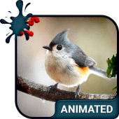 Bird Live Wallpaper + Keyboard Apk