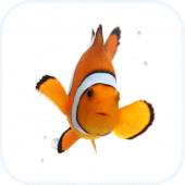 Fish Live Wallpaper Theme HD Apk