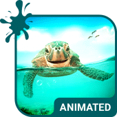 Cute Turtle Wallpaper Theme Apk