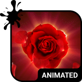 Magic Rose Wallpaper Apk