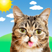 Weather BUB Apk