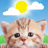 Weather Kitty - App & Widget Apk