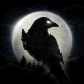 NIGHT CROWS Apk