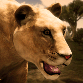 Ultimate Lioness Simulator Apk