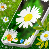 3D Daisy Spring Live Wallpaper Apk