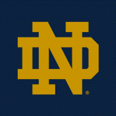 Fighting Irish Mobile Apk