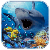 Crazy Shark Water Drop Theme Apk