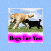 Dogs For You Apk