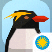 Penguin Protection Apk