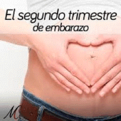 embarazo segundo trimestre Apk