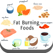 Fat Burning Foods !! Apk