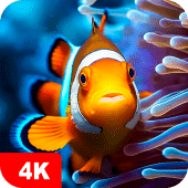 Fish Wallpapers 4K Apk