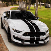 Ford Mustang Wallpaper Apk