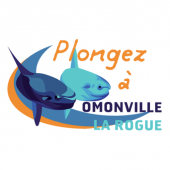 Drapeau Hague Marine Apk