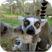 National Animals Puzzle Apk