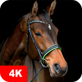 Horse Wallpapers 4K Apk