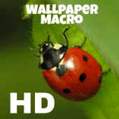 Wallpaper Macro HD Apk