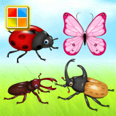 Insects Cards Games Apk