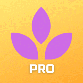 Vibeland Pro Apk