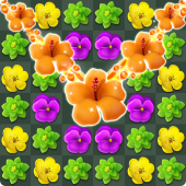 Flower Match Master Apk