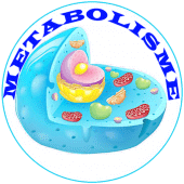 Metabolic System Diseases Apk