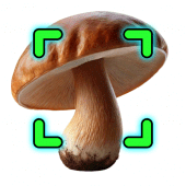 Mushroom Identification Apk