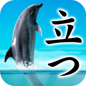 Can Dolphin Stand? Apk