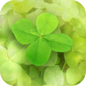 7Leaf Apk