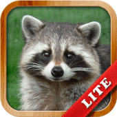 Animals for Kids Apk