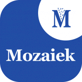 Mozaiek Vlaardingen Apk