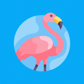 Flamingo Apk