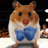 Funny Hamster Cracked Screen Apk