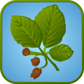 Kraina Buka Apk