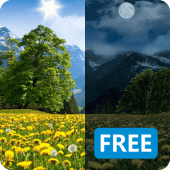 Summer Dandelion Live Wallpaper FREE Apk