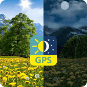 Summer Dandelion Live Wallpaper Apk