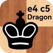 Dragon variation, full version Apk