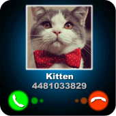 Fake Call Kitten Joke Apk